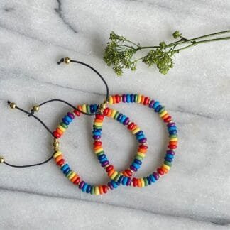 Rainbow Adjustable Bone Bead Bracelet Set
