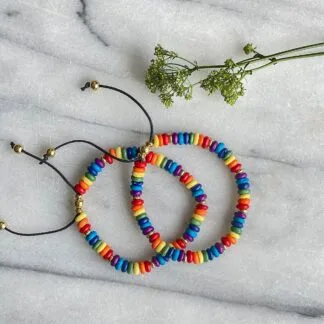 Rainbow Adjustable Bone Bead Bracelet Set