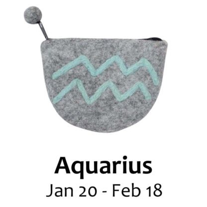 Felt Aquarius Zodiac Coin Purse - Global Groove - Image 2