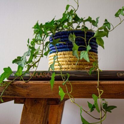 Dried Grass Basket, Pink and Natural - Image 3